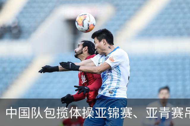 中国队包揽体操亚锦赛、亚青赛吊环金牌
